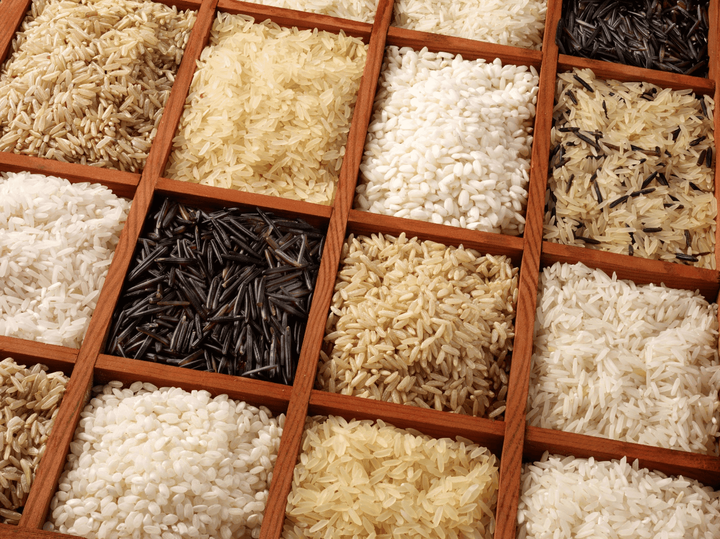 Rice Varieties